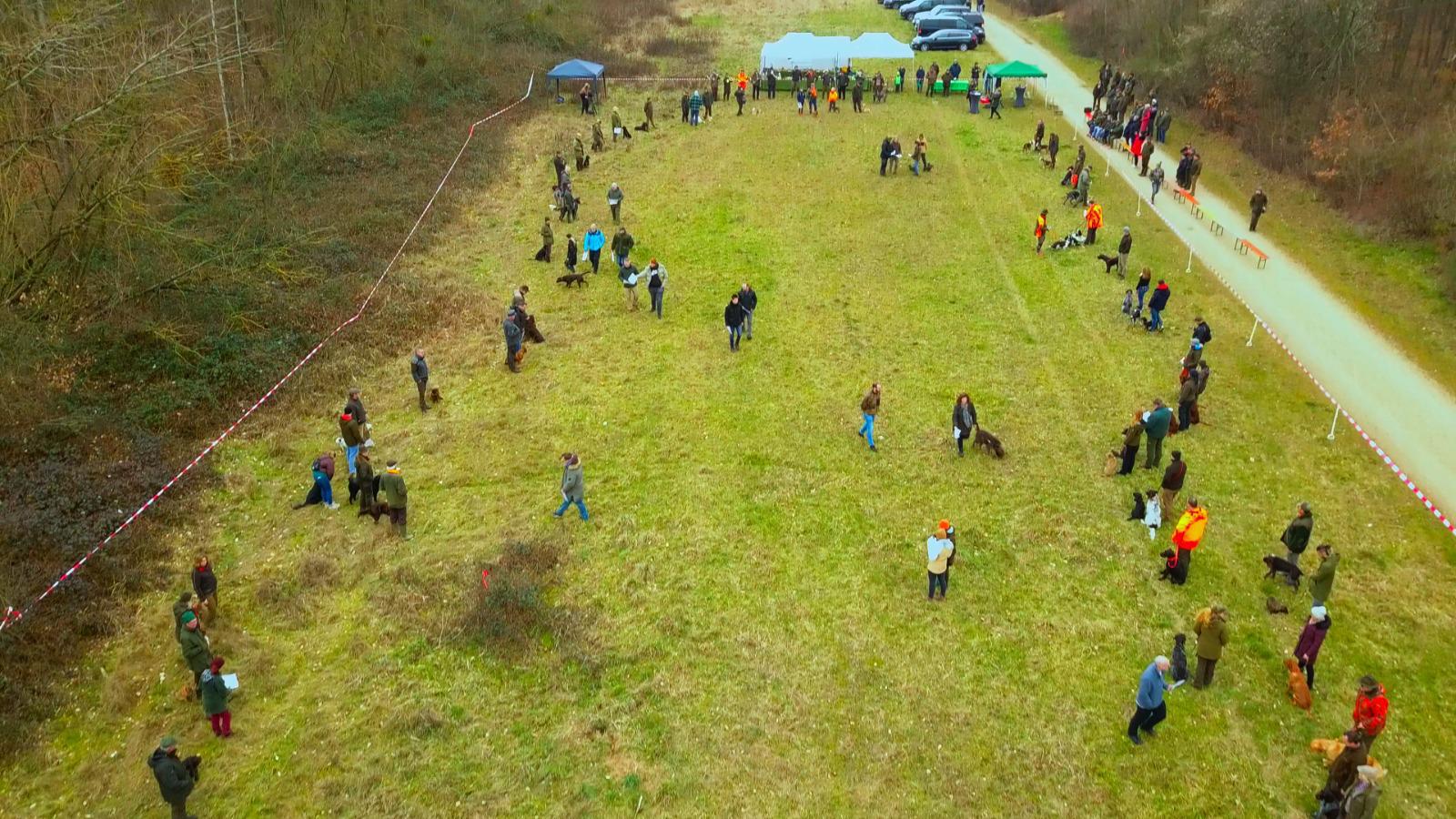 Jagdgebrauchshunderassevorstellung der anerkannten JGHV Rassen